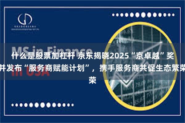 什么是股票加杠杆 京东揭晓2025“京卓越”奖并发布“服务商赋能计划”，携手服务商共促生态繁荣