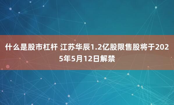 什么是股市杠杆 江苏华辰1.2亿股限售股将于2025年5月12日解禁