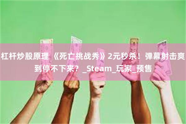 杠杆炒股原理 《死亡挑战秀》2元秒杀！弹幕射击爽到停不下来？_Steam_玩家_预售