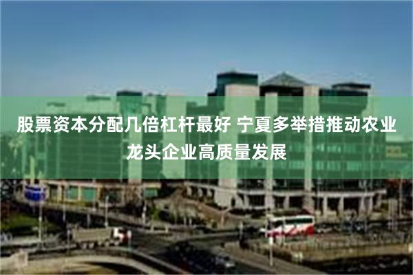 股票资本分配几倍杠杆最好 宁夏多举措推动农业龙头企业高质量发展