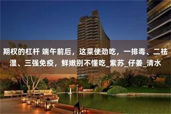 期权的杠杆 端午前后，这菜使劲吃，一排毒、二祛湿、三强免疫，鲜嫩别不懂吃_紫苏_仔姜_清水