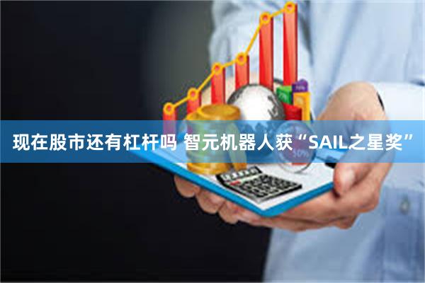现在股市还有杠杆吗 智元机器人获“SAIL之星奖”