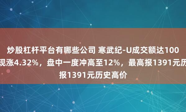 炒股杠杆平台有哪些公司 寒武纪-U成交额达100亿元，现涨4.32%，盘中一度冲高至12%，最高报1391元历史高价