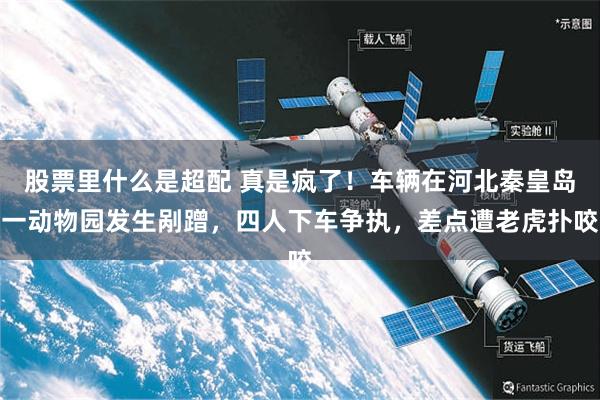股票里什么是超配 真是疯了！车辆在河北秦皇岛一动物园发生剐蹭，四人下车争执，差点遭老虎扑咬