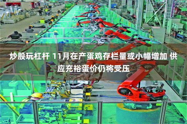炒股玩杠杆 11月在产蛋鸡存栏量或小幅增加 供应充裕蛋价仍将受压