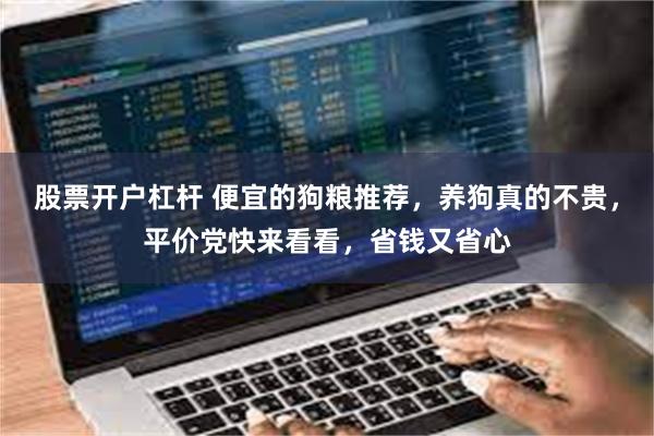 股票开户杠杆 便宜的狗粮推荐,养狗真的不贵,平价党快来看看,省钱又省心