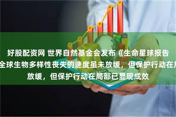 好股配资网 世界自然基金会发布《生命星球报告2025》,指出全球生物多样性丧失的速度虽未放缓,但保护行动在局部已显现成效